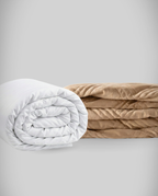 blanky + Hibernar + ICE