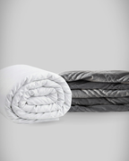 blanky + Hibernar + ICE