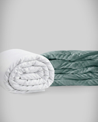 blanky + Hibernar + ICE