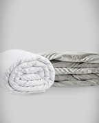 blanky + Hibernar + ICE